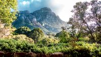 Hiking Tours Cape Town - Kirstenbosch Botanical Hike 37